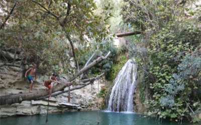 Wycieczka fakultatywna, Akamas Jeep Safari by Evis