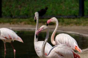 Wycieczka fakultatywna, Wycieczka z Larnaki Marathon do Ayia Napa, Lefkary i więcej