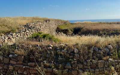 Wycieczka fakultatywna, Wycieczka na plażę Skała Afrodyty z karmieniem osiołków z Pafos