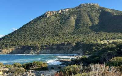 Wycieczka fakultatywna, Wycieczka Marathon Jeep Safari - Narodowy Park Akamas z Cypru Północnego