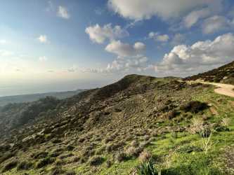 Optional trip, Marathon Jeep Safari - Narodowy Park Akamas z Pafos