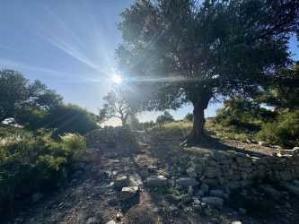 Optional trip, Wycieczka Pafos by night