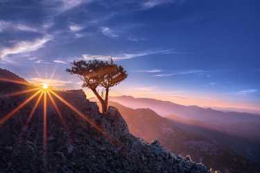 Optional trip, Wycieczka: Troodos, klasztor Kykkos [38] z Limassol Marathon