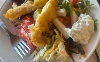 One day trip, Wycieczka Wyżerka w górach Pafos z niedzielnym meze z wyjazdem z Pafos