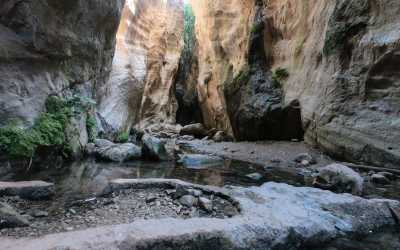 Optional trip, Wycieczka Akamas Tour z Larnaki