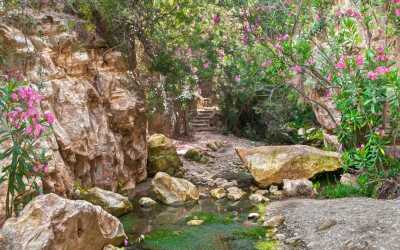 Optional trip, Wycieczka Akamas Tour z Larnaki