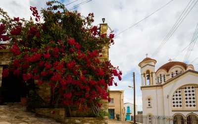 One day trip, Ja, tato i mama z Pafos do farmy osiołków