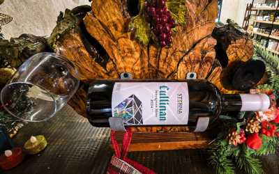 One day trip, Wycieczka Szlakiem Cypryjskich Winnic - Sterna Winiarnia