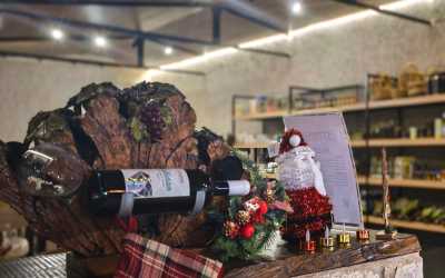 One day trip, Wycieczka Szlakiem Cypryjskich Winnic - Sterna Winiarnia