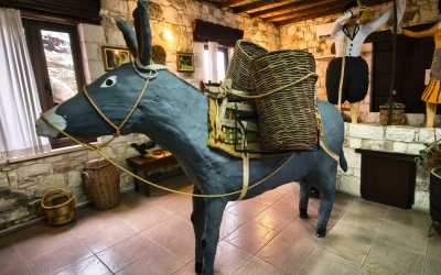 One day trip, Wycieczka Szlakiem Cypryjskich Winnic - Sterna Winiarnia