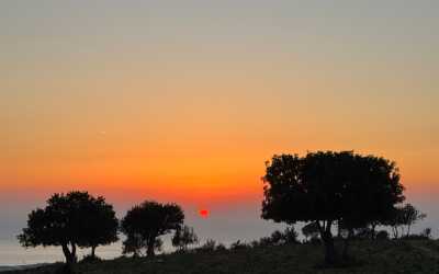 One day trip, Wycieczka z Limassol do wąwozu Avakas Kanyon Mini Marathon