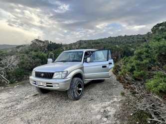 One day trip, Wycieczka z Limassol do wąwozu Avakas Kanyon Mini Marathon