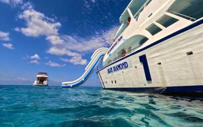 One day trip, Wycieczka Rejs na Blue Lagoon poranny z transferem z adresu z Pafos łodzią Blue Diamond