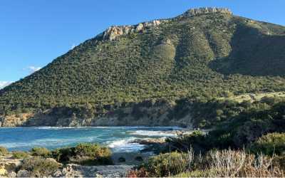 Optional trip, Wycieczka Marathon Jeep Safari Najważniejsze atrakcje Pafos z Pafos