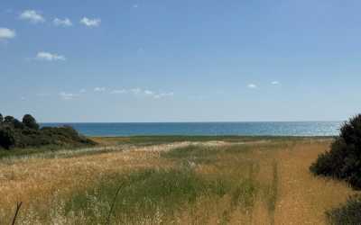 Optional trip, Wycieczka na plażę Skała Afrodyty z karmieniem osiołków z Pafos