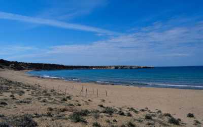 Optional trip, Wycieczka na plażę Lara Beach i kanion Avakas z Pafos