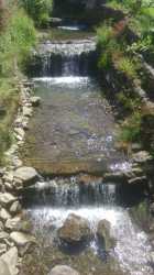 Youth camp, WAKACYJNY HIT !!! Z wyjazdem do Energylandii, wycieczkami do Wiednia, na Słowację i do aquaparków. Ośrodek z basenem letnim. Kolonia 7-13 lat, obóz 14-18 lat.(DW Lidia)