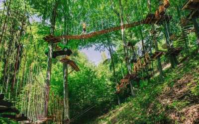 Optional trip, Wycieczka do Parku linowego „Trollandia”