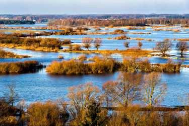 Youth camp, PODLASIA CZAR Dolina Biebrzy, Szlak Tatarski, Puszcza Białowieska a dla chętnych dodatkowo wycieczka do Wilna Kolonie 7-13 lat, obóz 14-17 lat