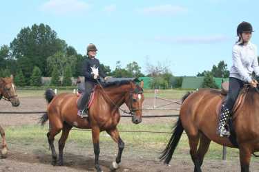 Youth camp, Niezapomniana Nadmorska Przygoda - OBÓZ KONNY (11-18 lat). Profesjonalne szkolenie dla początkujących, średnio zaawansowanych, zaawansowanych, obóz sportowo-szkoleniowy