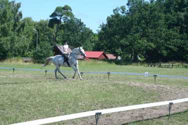 Youth camp, Niezapomniana Nadmorska Przygoda - OBÓZ KONNY (11-18 lat). Profesjonalne szkolenie dla początkujących, średnio zaawansowanych, zaawansowanych, obóz sportowo-szkoleniowy