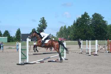 Youth camp, Niezapomniana Nadmorska Przygoda - OBÓZ KONNY (11-18 lat). Profesjonalne szkolenie dla początkujących, średnio zaawansowanych, zaawansowanych, obóz sportowo-szkoleniowy