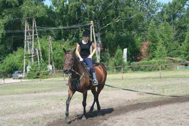 Youth camp, Niezapomniana Nadmorska Przygoda - OBÓZ KONNY (11-18 lat). Profesjonalne szkolenie dla początkujących, średnio zaawansowanych, zaawansowanych, obóz sportowo-szkoleniowy