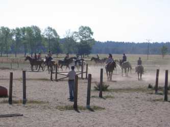 Youth camp, Niezapomniana Nadmorska Przygoda - OBÓZ KONNY (11-18 lat). Profesjonalne szkolenie dla początkujących, średnio zaawansowanych, zaawansowanych, obóz sportowo-szkoleniowy