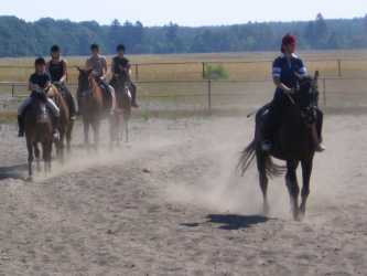 Youth camp, Niezapomniana Nadmorska Przygoda - OBÓZ KONNY (11-18 lat). Profesjonalne szkolenie dla początkujących, średnio zaawansowanych, zaawansowanych, obóz sportowo-szkoleniowy