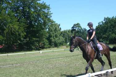 Youth camp, Niezapomniana Nadmorska Przygoda - OBÓZ KONNY (11-18 lat). Profesjonalne szkolenie dla początkujących, średnio zaawansowanych, zaawansowanych, obóz sportowo-szkoleniowy