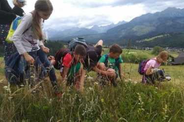 Youth camp, „JANOSIKOWA ADRENALINA”. Nerf - park linowy – aquapark a dla chętnych Energylandia, Słowacja i inne atrakcje kolonia 7 – 10 i 11 - 14 lat