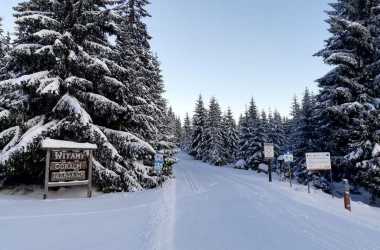 Youth camp, Szklarska Poręba 2025 - Zimowe szaleństwo w Karkonoszach. Zimowisko narciarskie (8-13 lat) i obóz narciarski (14-17 lat)
