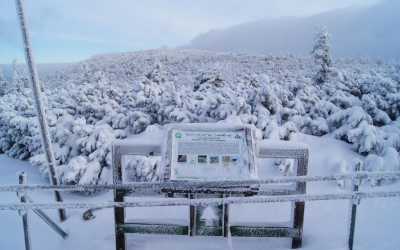 Youth camp, Szklarska Poręba 2025 - Zimowe szaleństwo w Karkonoszach. Zimowisko narciarskie (8-13 lat) i obóz narciarski (14-17 lat)