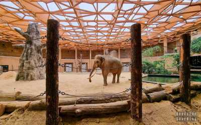 One day trip, Orientarium i  Mandoria  - miasto przygód. Jednodniowa wycieczka szkolna