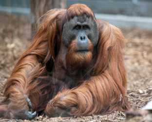 One day trip, Orientarium i  Mandoria  - miasto przygód. Jednodniowa wycieczka szkolna