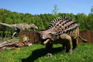 One day trip, Bałtowski Park Jurajski. Jednodniowa wycieczka szkolna