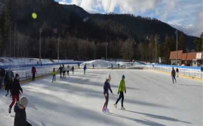 Optional trip, Wyjście na lodowisko