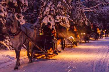 Youth camp, Zakopane 2024 - Zimowisko rekreacyjne (8-13 lat) i  obóz rekreacyjny (14-17 lat)