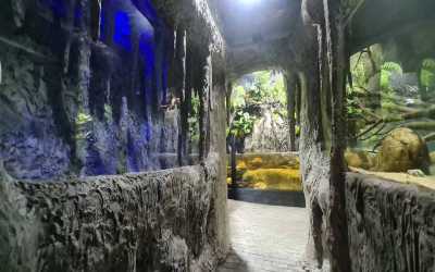 Youth camp, Zakopane 2024 - Zimowisko rekreacyjne (8-13 lat) i  obóz rekreacyjny (14-17 lat)