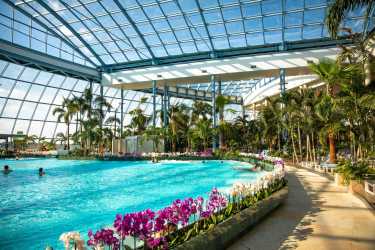 Youth camp, Kolonie – Raj w sercu Polski. Mandoria – Odkryj nową strefę CROCODIL w Park Of Poland Suntago Wodny Świat - super zabawa w Sadach Klemensa także warsztat pływacki i lekcja przetrwania. Kolonia 7-13 lat.