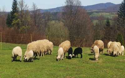 One day trip, Wiślański Czupel