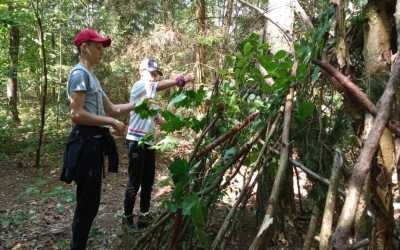 Youth camp, Piecki - Mega Wakacje obóz przygodowy Mazurskie Chaty, 10 dni 10-14 lat