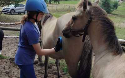 Youth camp, Piecki - obóz konny Mazurskie Chaty, 10 dni 10-14 lat