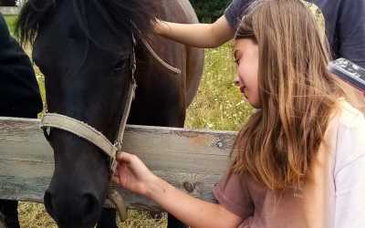 Youth camp, Wiele - Obóz konny Junior OKW Beaver, 10 dni 10-14 lat