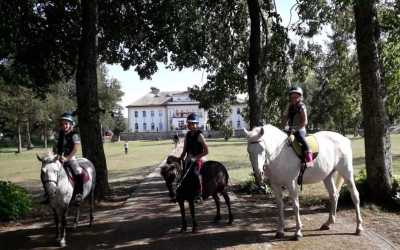 Youth camp, Obóz jeździecki z odznakami PZJ Runowo, 10 dni 10-18 lat