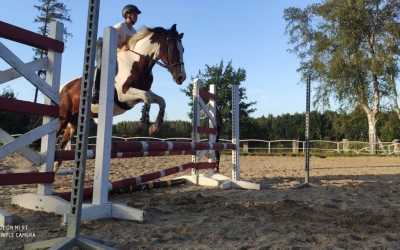 Optional trip, MAXI HORSE (samodzielny kłus i galop)