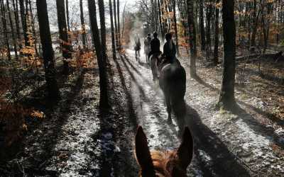 Youth camp, Runowo - Ferie w siodle,  7 dni 9-18 lat