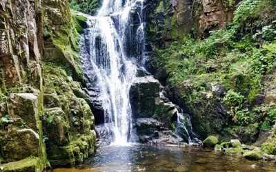 Youth camp, "Skalniak" Góry Stołowe - obóz wędrowny (łatwy) GÓRY (Góry, Polska) , 10 dni 13-17 lat