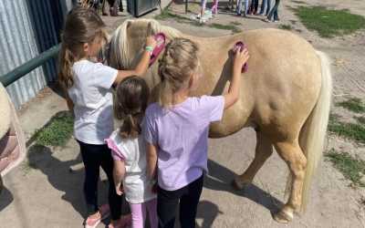 Youth camp, Julinek – Wioo Przygodo z Hobby Horse B&B Julinek Park, 7 dni 9-12 lat