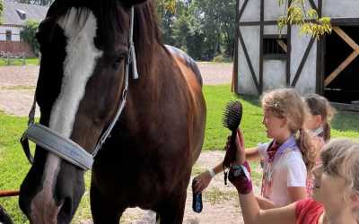 Youth camp, Julinek – Wioo Przygodo z Hobby Horse B&B Julinek Park, 7 dni 9-12 lat